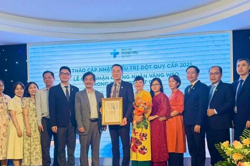 TPHCM: Bệnh viện Hoàn Mỹ Sài Gòn nhận Chứng nhận Vàng từ Hội Đột quỵ Thế giới