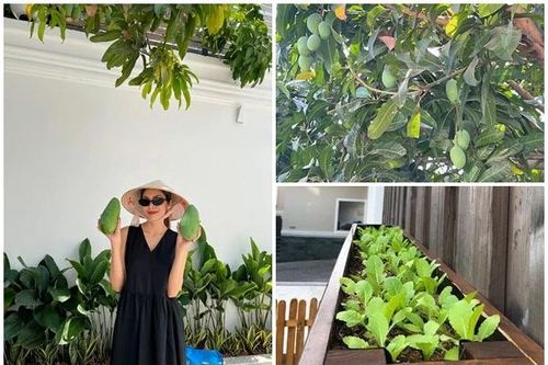 'Góc bình dân' trong dinh thự bạc tỷ của Tăng Thanh Hà