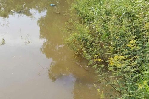 Phát hiện thi thể đàn ông ở trần dưới suối Cầu Giấy