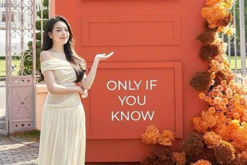 Thanh Thủy cùng loạt sao đổ về Dinh Độc Lập check-in cùng cánh cửa 'đặc biệt'