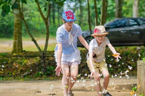 Ghé Vườn quốc gia Cúc Phương ngắm rừng bươm bướm rợp trời