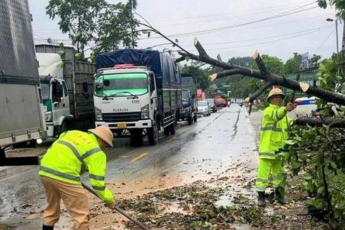 Mưa lớn kèm gió lốc tốc mái nhiều nhà dân ở Tuyên Quang