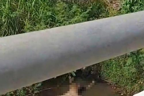 Bình Định: Phát hiện thi thể nam giới đang phân hủy nổi trên mặt nước