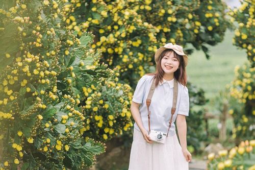 Vườn xương rồng 'có một không hai' ở Mộc Châu, nở hoa chi chít, hút khách thăm