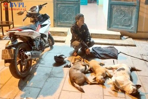 Bắt kẻ trộm chó, triệt phá nhóm bắt cóc, đánh bạc vùng cao