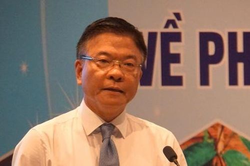 Sâm Ngọc Linh và chiến lược phát triển dược liệu bền vững ở Quảng Nam