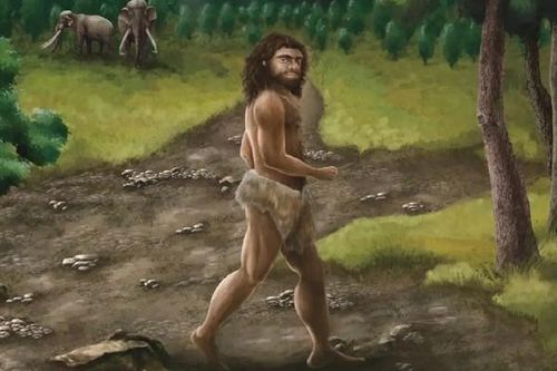 Phát hiện hài cốt người Denisovan ở Đài Loan hé lộ bí ẩn di truyền của người châu Á