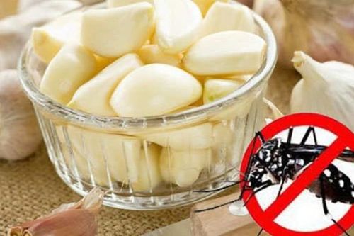 Cách đuổi muỗi hiệu quả không cần dùng hóa chất