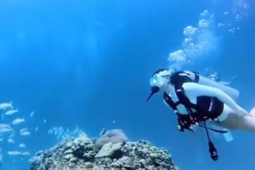 Cô gái lặn xuống biển tìm đồ bị mất thì gặp sự cố đau lòng
