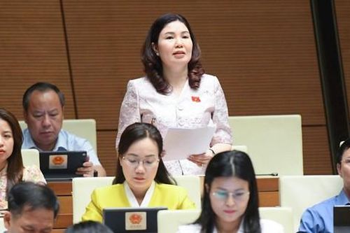 Đại biểu Quốc hội chỉ ra 'kẽ hở' để doanh nghiệp gian dối trong vụ 600 nhãn sữa giả