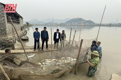 Phát triển nuôi trồng thủy sản nước ngọt