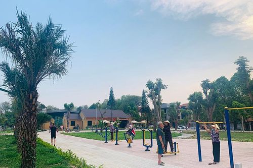 Giữ gìn không gian xanh cho phố thị