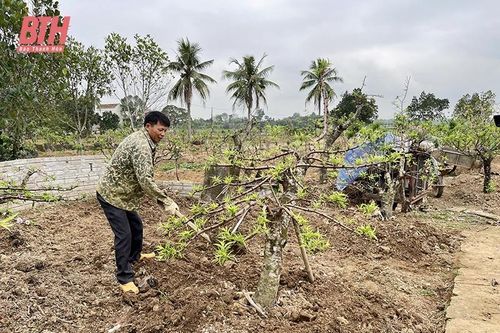 Thọ Tân tập trung phát triển kinh tế, nâng cao thu nhập cho người dân