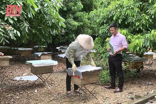 Nông dân Thạch Thành giúp nhau phát triển kinh tế