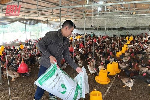 Xã Mậu Lâm đẩy mạnh phát triển kinh tế, nâng cao thu nhập cho người dân