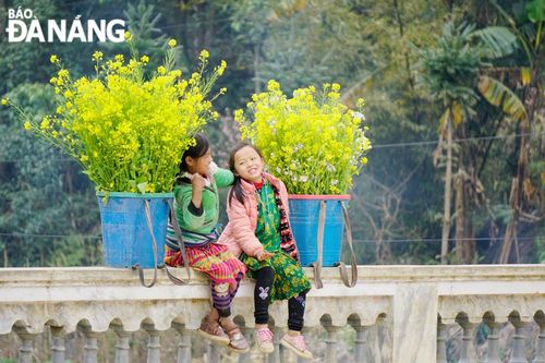 Một mùa hoa, một điểm đến
