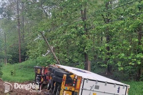 Mưa lớn làm xuất hiện nhiều sự cố điện, Điện lực Đồng Nai đang khẩn trương khắc phục