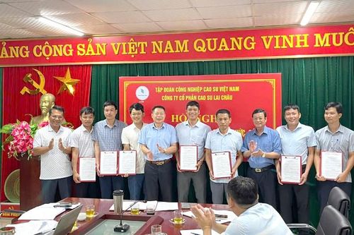 Công bố các quyết định về công tác tổ chức và cán bộ
