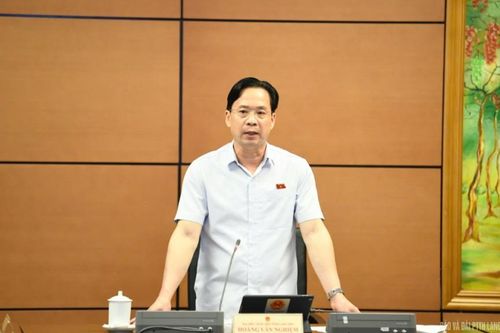 Đại biểu Quốc hội tỉnh tham gia thảo luận về một số dự thảo luật