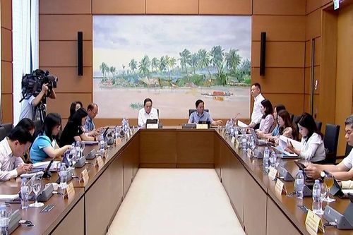 Đại biểu Nguyễn Thị Lan Anh góp ý về Luật Sử dụng năng lượng tiết kiệm và hiệu quả (sửa đổi)