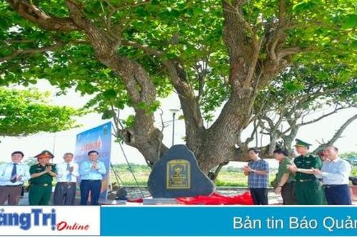 Di sản xanh nơi đảo tiền tiêu Cồn Cỏ