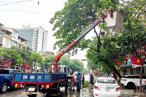 UBND tỉnh chỉ đạo khắc phục ngay thiệt hại do mưa lớn, dông, lốc