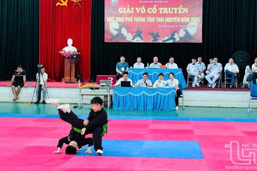 Sôi nổi Giải võ cổ truyền học sinh phổ thông năm 2025