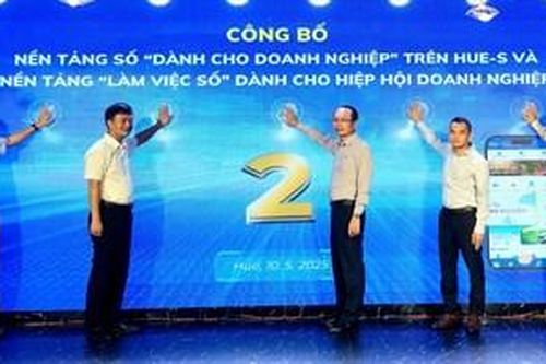 Công bố hai nền tảng số 'Dành cho doanh nghiệp' trên Hue-S và 'Làm việc số'