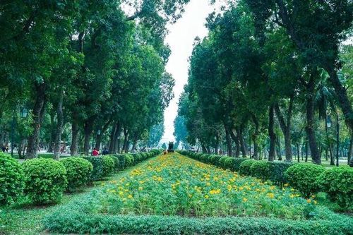 Bộ Công an yêu cầu Long An cung cấp hồ sơ 36 dự án cây xanh ở địa phương