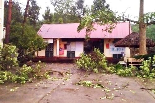 Mưa lớn kèm gió lốc làm hư hại 20 nhà dân ở Lào Cai