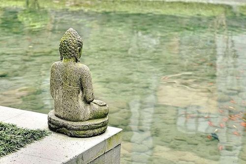 Ai thay ta quyết định số phận?