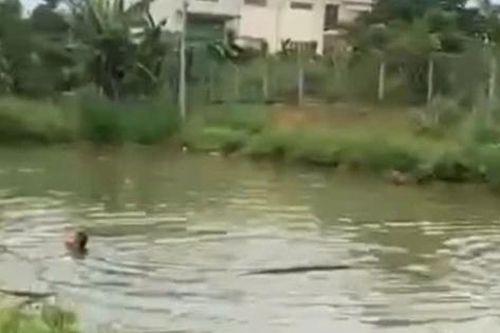 Rủ nhau ra ao chơi, 2 cháu bé tử vong thương tâm