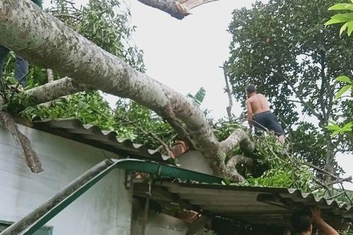 Hàng chục ngôi nhà ở Hà Tĩnh bị sập sau trận lốc lớn