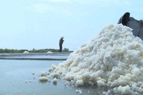 Nghề làm muối Thụy Hải trở thành Di sản văn hóa phi vật thể quốc gia