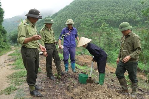 Tạo sinh kế bền vững cho người dân