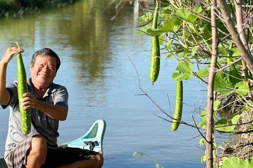 Thương mùa nắng hạ