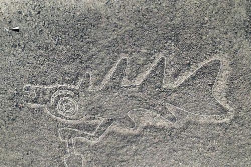 Dùng AI, chuyên gia vỡ òa phá giải hình vẽ Nazca ngàn năm bí ẩn