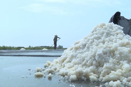 Thái Bình: Nghề làm muối xã Thụy Hải là di sản văn hóa phi vật thể quốc gia
