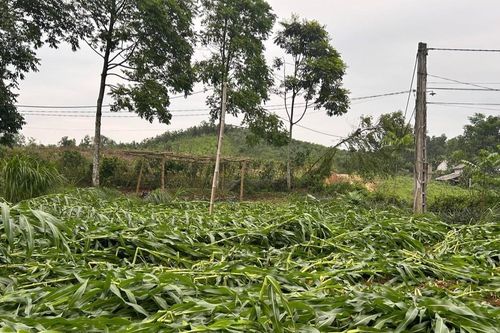 1 người chết, 1 người mất tích, hàng chục ngôi nhà hư hỏng do mưa lốc