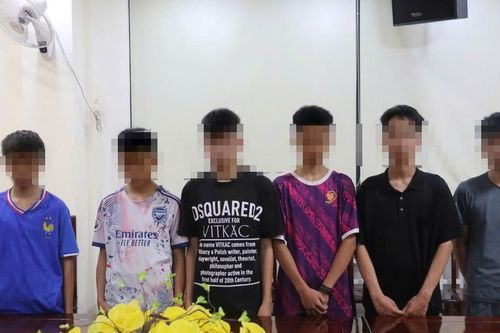 Bắt giữ nhóm trộm 'nhí' chuyên đi trộm xe máy, 2 đối tượng còn đi học