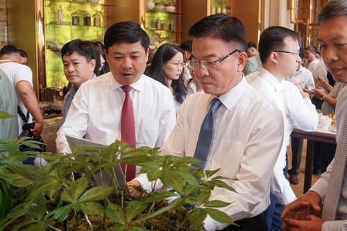 Phó Thủ tướng: Đưa Quảng Nam trở thành trung tâm công nghiệp dược liệu
