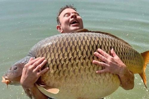 Câu được cá chép khổng lồ, nam du khách vui hơn trúng số