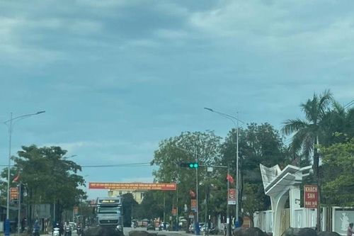 Cần xử lý nghiêm tình trạng thả rông trâu, bò mất an toàn giao thông ở Nghệ An