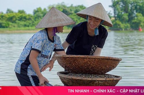 Ngọt mát hến dòng La