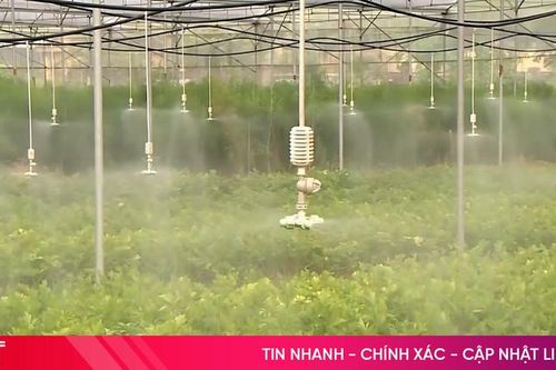 Ứng dụng công nghệ phát triển sản xuất nông nghiệp