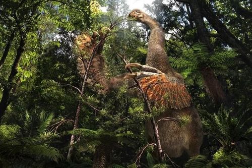 Lộ diện 'quái thú hai ngón' kỳ lạ: Nửa chim, nửa thú giữa sa mạc Gobi