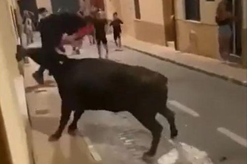 CLIP: Bò tót nổi điên, tấn công dã man thiếu niên giữa đường phố