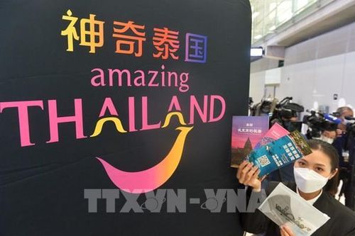Các ứng dụng du lịch không thể thiếu trong mùa Hè 2025