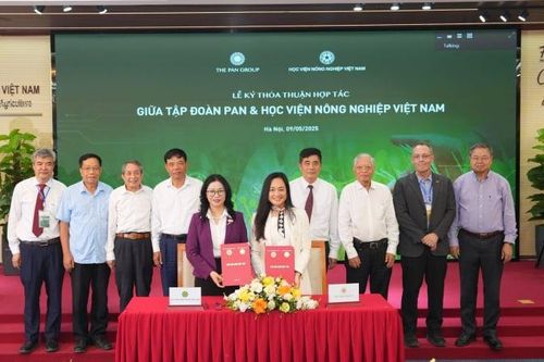 Tăng cường liên kết tạo đột phá phát triển giống cây trồng