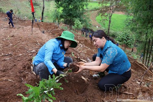 Tổ chức Lễ phát động trồng cây tại huyện Tuần Giáo